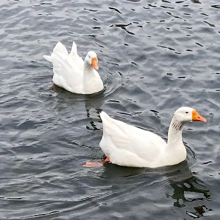 Zia Teresa Hotel Turín