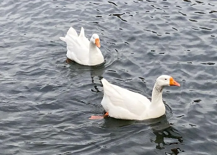 Zia Teresa Отель Турин